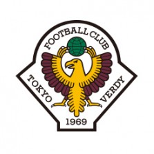 emblem_verdy