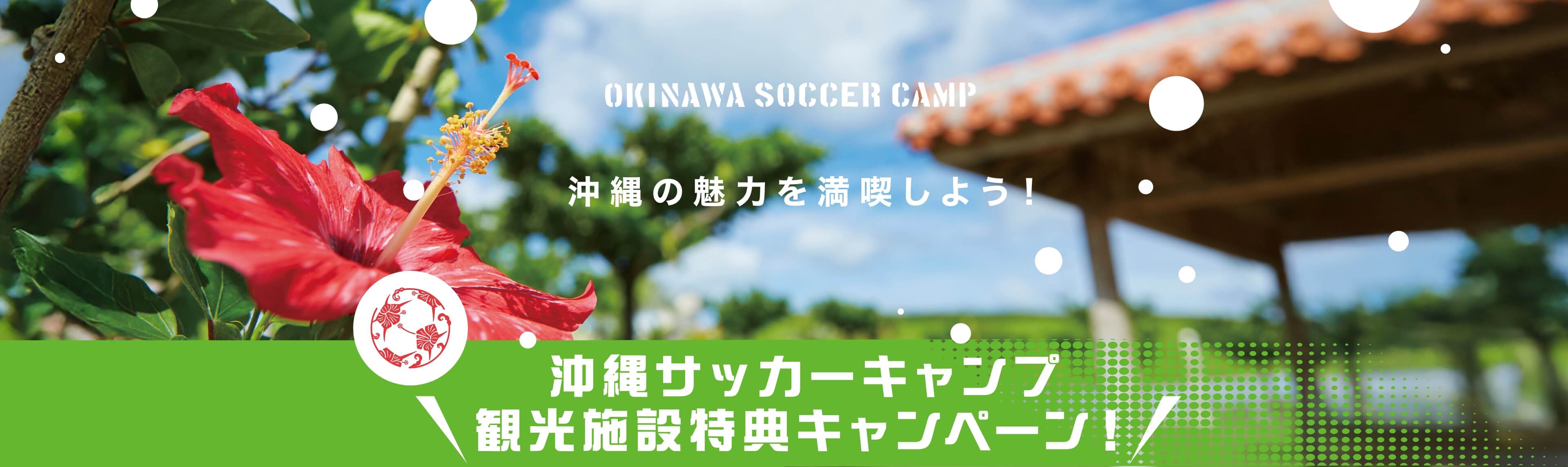 What’s MX MOBILING